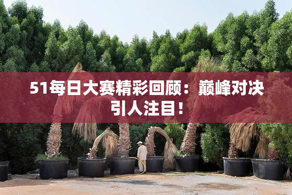 51每日大赛精彩回顾：巅峰对决引人注目！