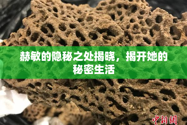赫敏的隐秘之处揭晓，揭开她的秘密生活