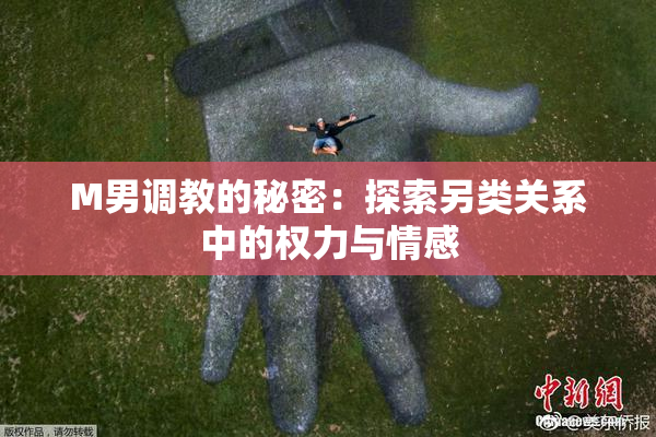 M男调教的秘密：探索另类关系中的权力与情感