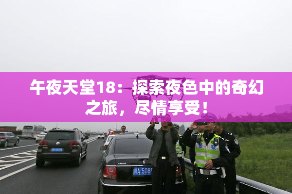 午夜天堂18：探索夜色中的奇幻之旅，尽情享受！