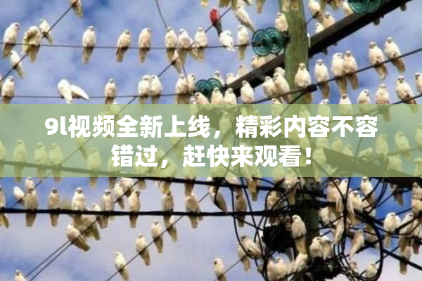 9l视频全新上线，精彩内容不容错过，赶快来观看！