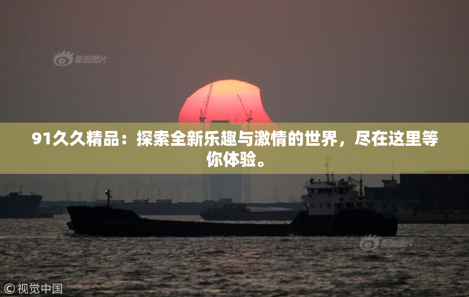91久久精品：探索全新乐趣与激情的世界，尽在这里等你体验。
