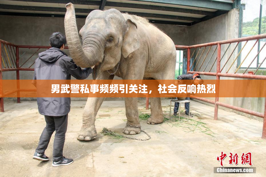 男武警私事频频引关注，社会反响热烈
