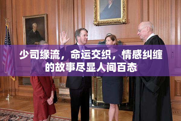少司缘流，命运交织，情感纠缠的故事尽显人间百态