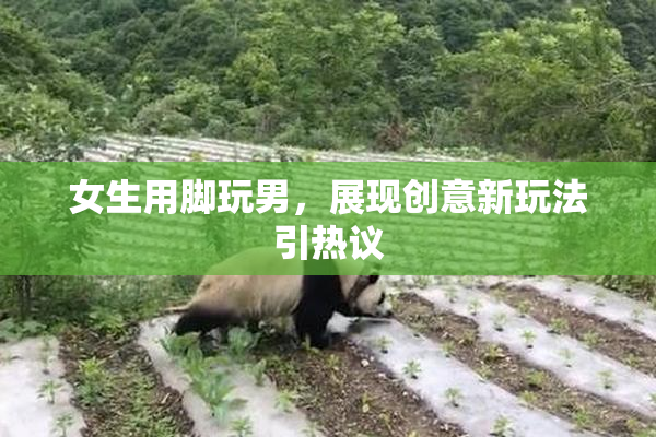 女生用脚玩男，展现创意新玩法引热议