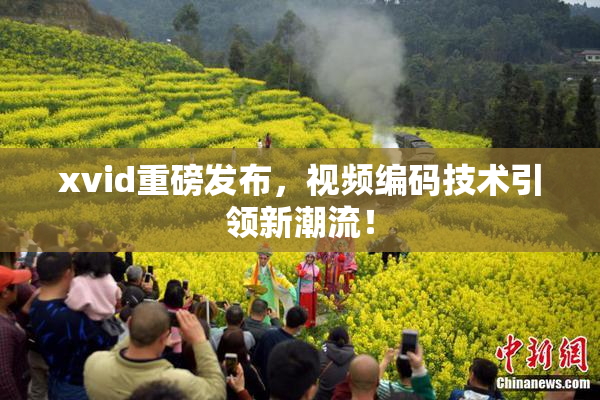 xvid重磅发布，视频编码技术引领新潮流！