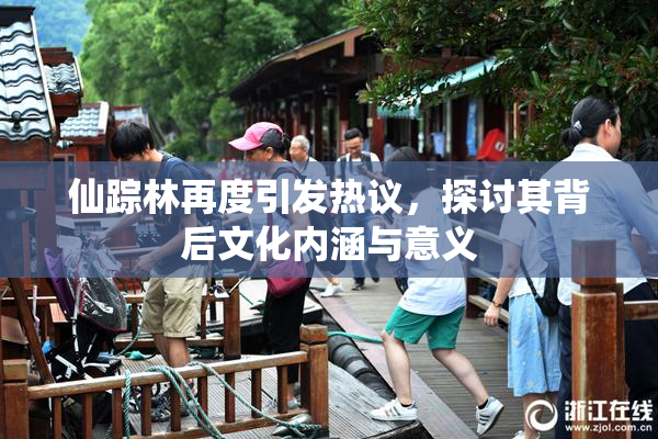 仙踪林再度引发热议，探讨其背后文化内涵与意义