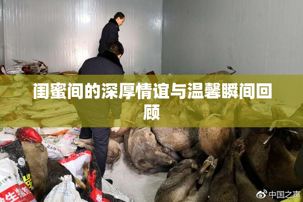 闺蜜间的深厚情谊与温馨瞬间回顾