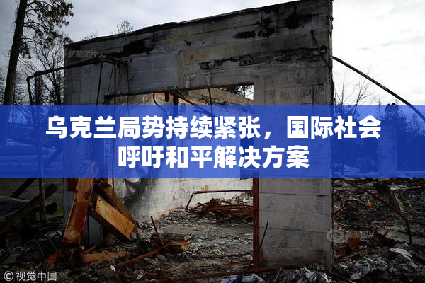 乌克兰局势持续紧张，国际社会呼吁和平解决方案