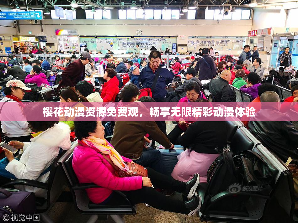 樱花动漫资源免费观，畅享无限精彩动漫体验