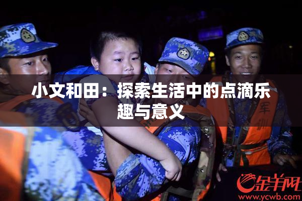 小文和田：探索生活中的点滴乐趣与意义