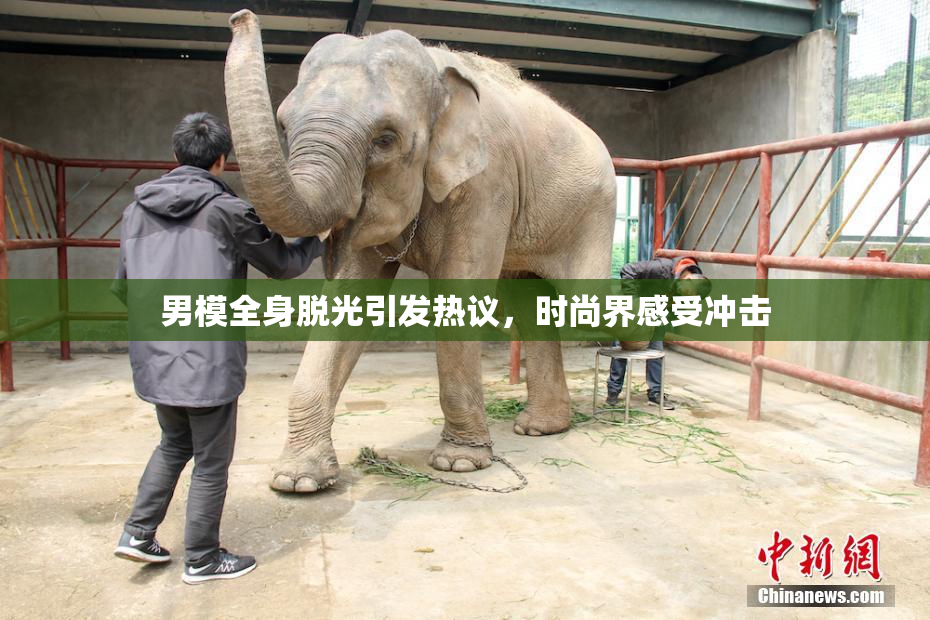 男模全身脱光引发热议，时尚界感受冲击