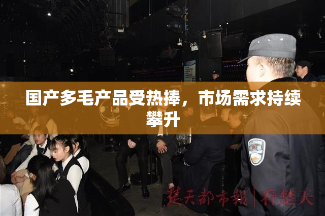 国产多毛产品受热捧，市场需求持续攀升