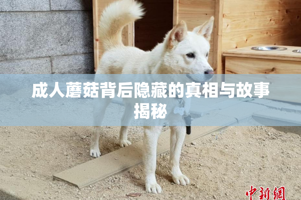成人蘑菇背后隐藏的真相与故事揭秘