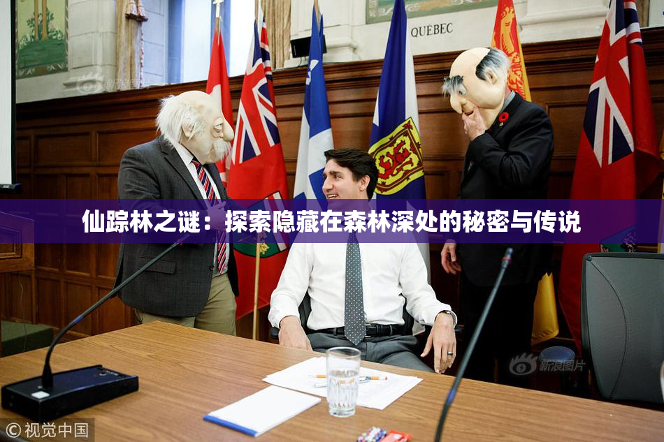 仙踪林之谜：探索隐藏在森林深处的秘密与传说