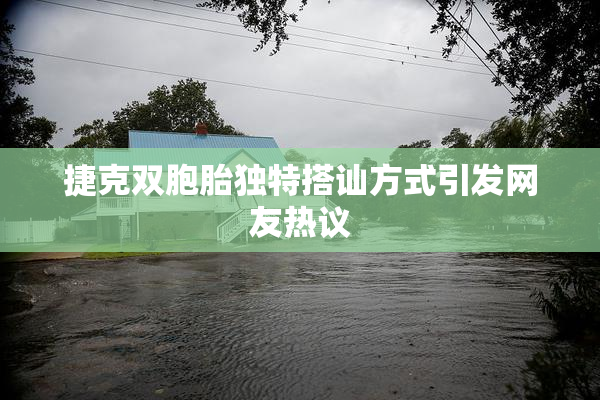 捷克双胞胎独特搭讪方式引发网友热议