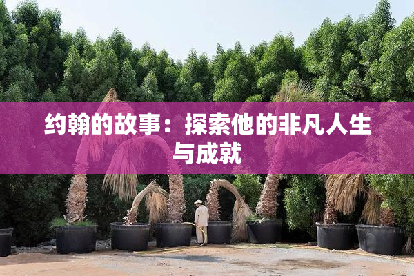 约翰的故事：探索他的非凡人生与成就
