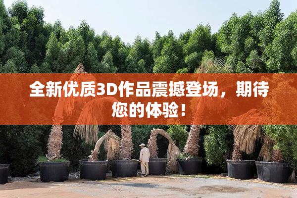 全新优质3D作品震撼登场，期待您的体验！
