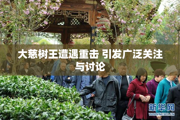 大慈树王遭遇重击 引发广泛关注与讨论