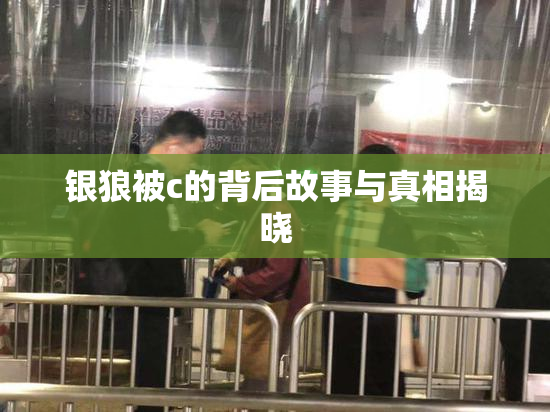 银狼被c的背后故事与真相揭晓