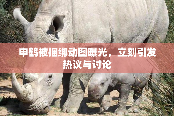 申鹤被捆绑动图曝光，立刻引发热议与讨论