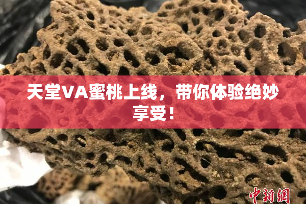 天堂VA蜜桃上线，带你体验绝妙享受！