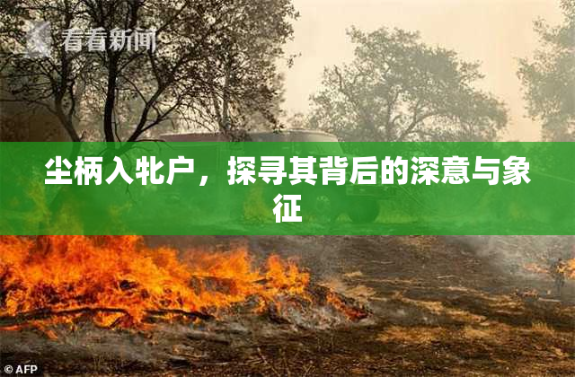 尘柄入牝户，探寻其背后的深意与象征