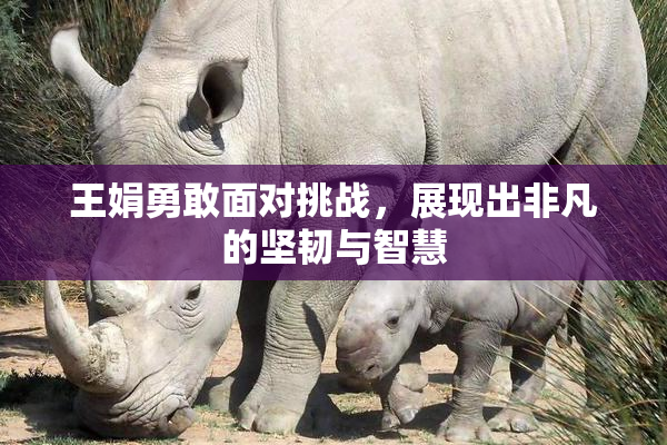 王娟勇敢面对挑战，展现出非凡的坚韧与智慧