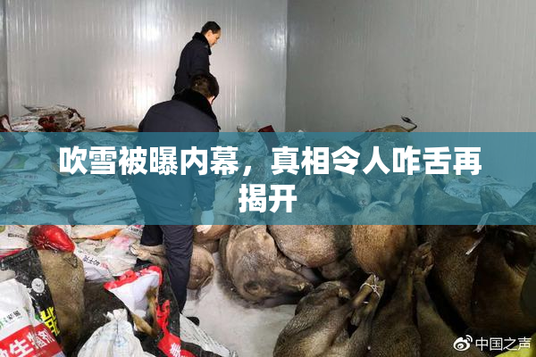 吹雪被曝内幕，真相令人咋舌再揭开