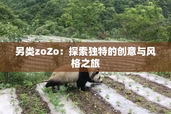 另类zoZo：探索独特的创意与风格之旅