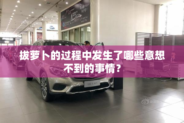 拔萝卜的过程中发生了哪些意想不到的事情？