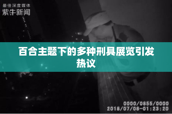 百合主题下的多种刑具展览引发热议