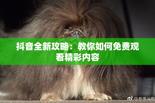 抖音全新攻略：教你如何免费观看精彩内容
