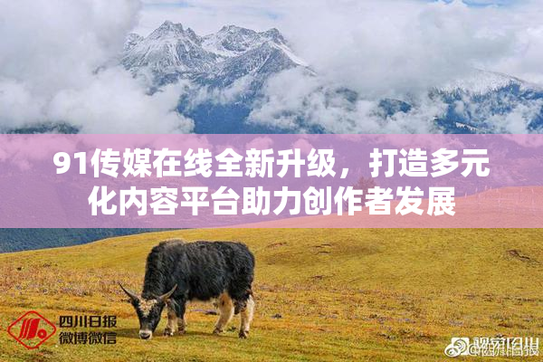 91传媒在线全新升级，打造多元化内容平台助力创作者发展