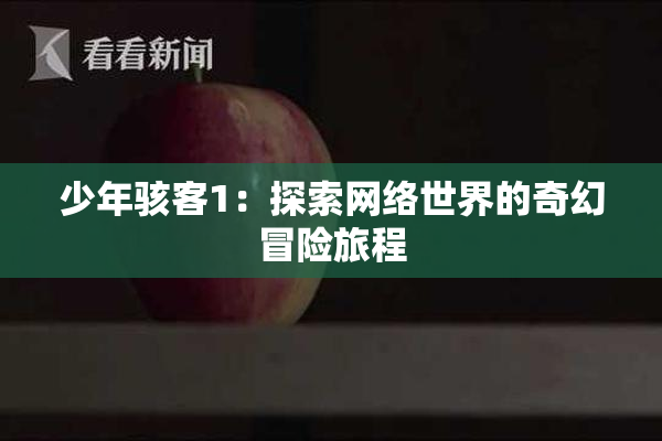 少年骇客1：探索网络世界的奇幻冒险旅程
