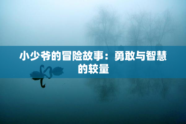 小少爷的冒险故事：勇敢与智慧的较量