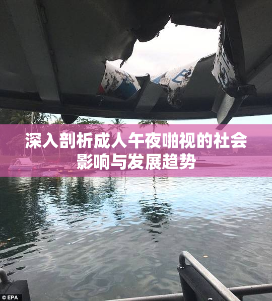 深入剖析成人午夜啪视的社会影响与发展趋势