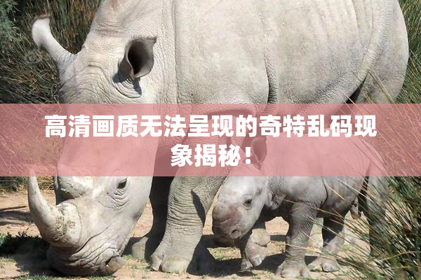 高清画质无法呈现的奇特乱码现象揭秘！