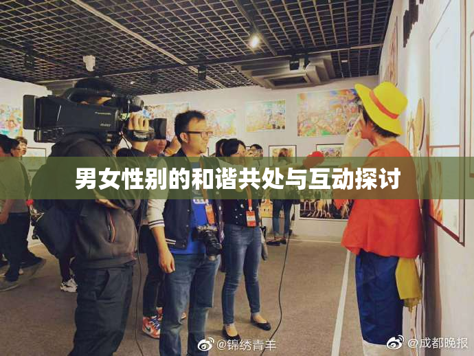 男女性别的和谐共处与互动探讨