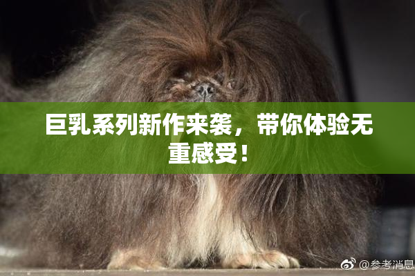 巨乳系列新作来袭，带你体验无重感受！