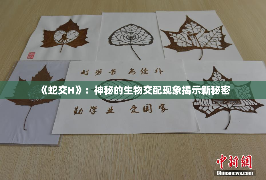 《蛇交H》：神秘的生物交配现象揭示新秘密