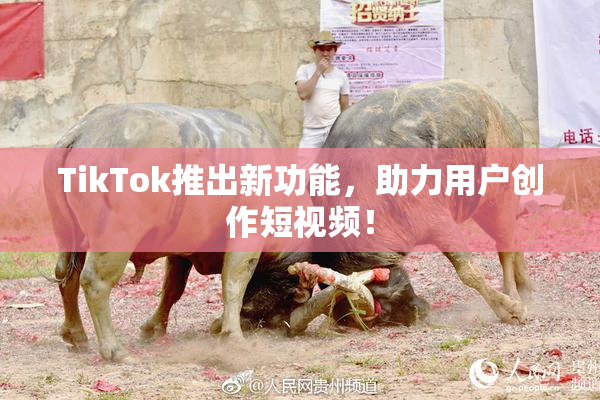 TikTok推出新功能，助力用户创作短视频！