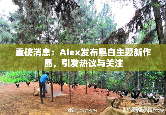 重磅消息：Alex发布黑白主题新作品，引发热议与关注