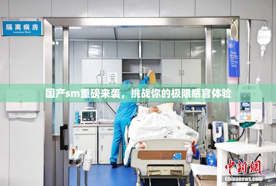 国产sm重磅来袭，挑战你的极限感官体验