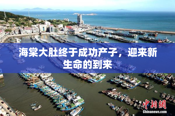 海棠大肚终于成功产子，迎来新生命的到来