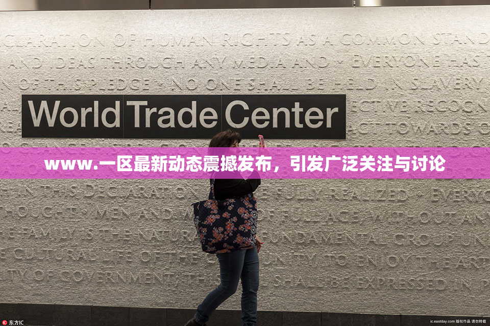 www.一区最新动态震撼发布，引发广泛关注与讨论
