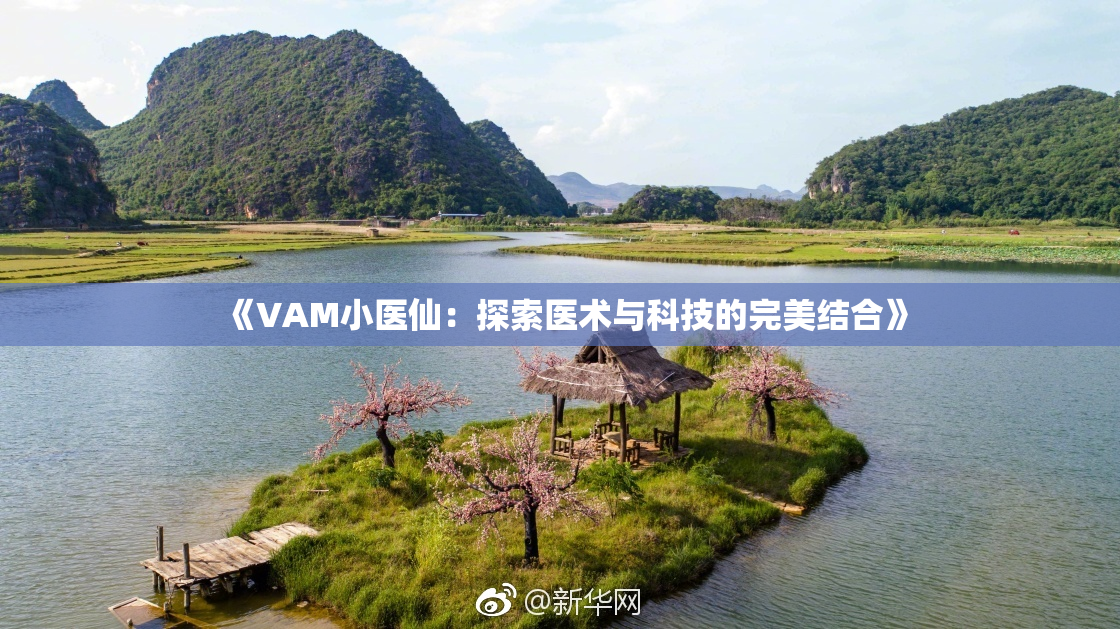 《VAM小医仙：探索医术与科技的完美结合》