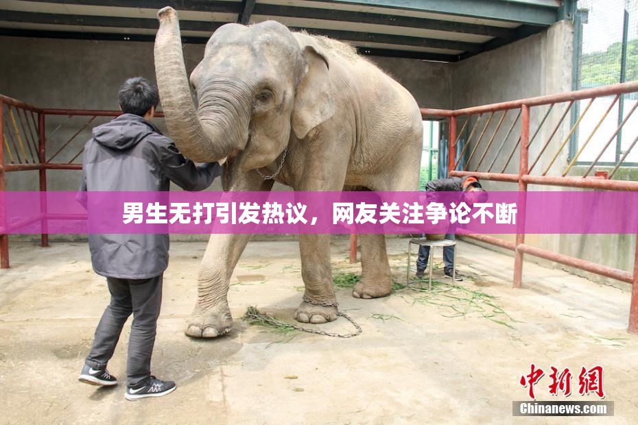男生无打引发热议，网友关注争论不断