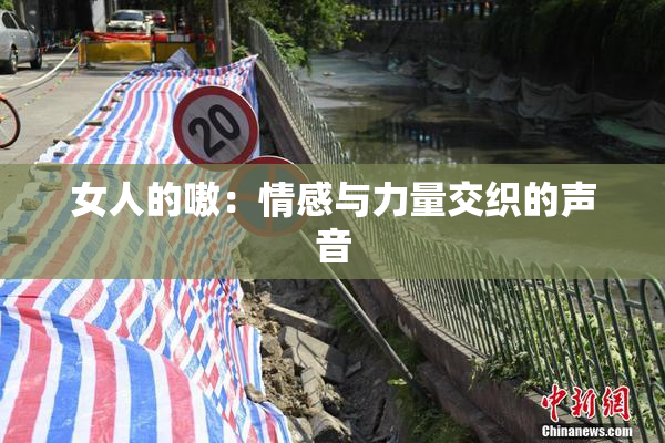 女人的嗷：情感与力量交织的声音