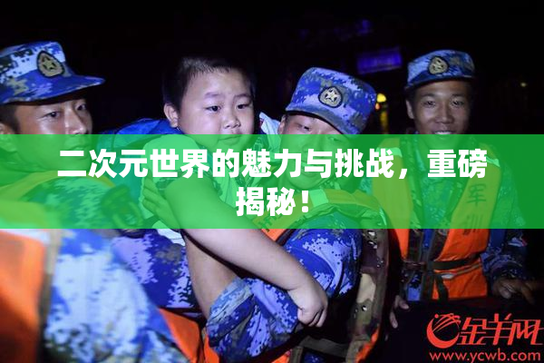 二次元世界的魅力与挑战，重磅揭秘！
